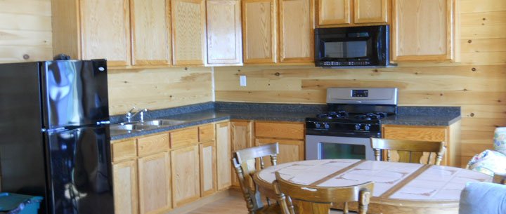 cabin's modern kitchen